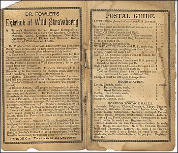 1894-1895 Pocket Memorandum Book 02.jpg