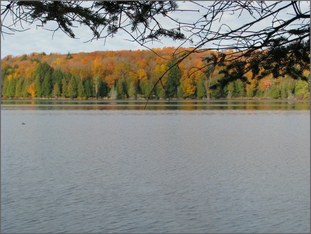 IMG_3834.JPG