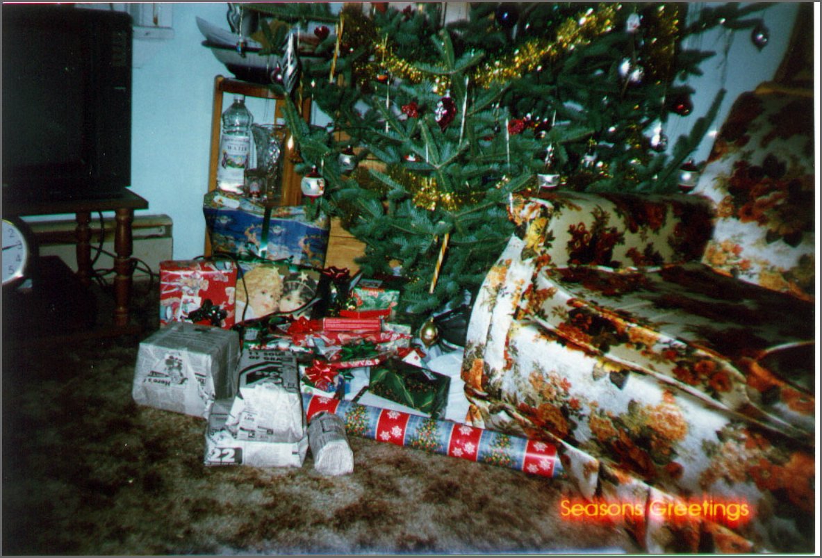 Christmas 1995.jpg