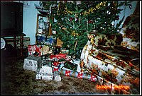 Christmas 1995.jpg