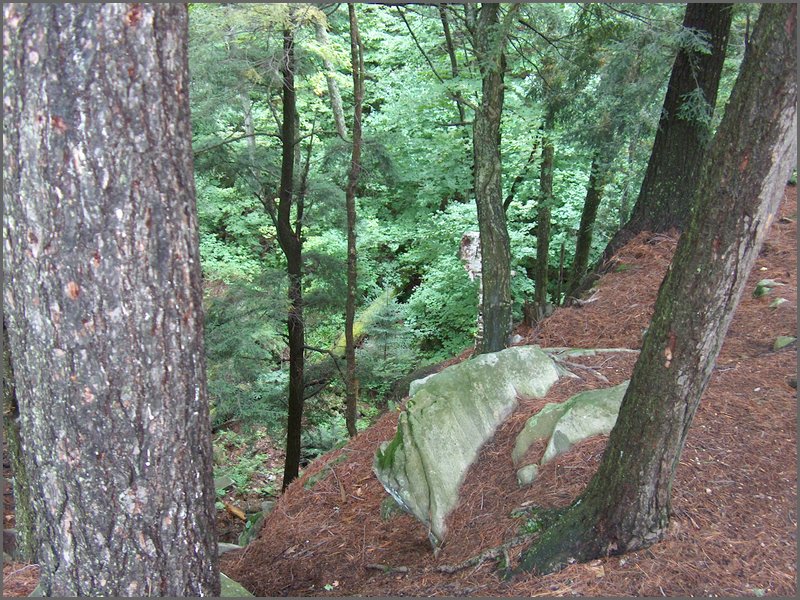 Algonquin_Park_2007_10.jpg