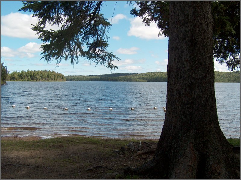 Algonquin_Park_2007_23.jpg