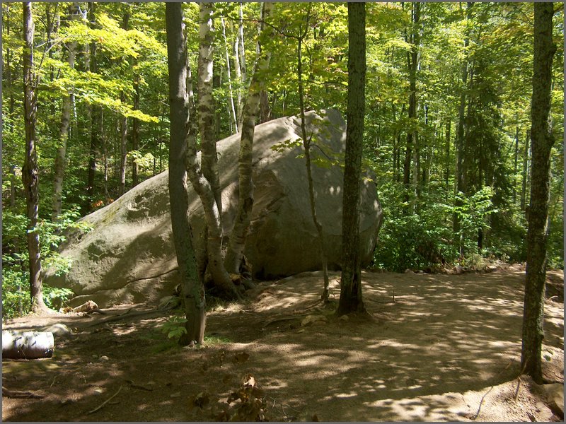 Algonquin_Park_2007_90.jpg
