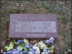 065 Gibson.JPG