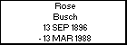 Rose Busch