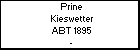 Prine Kieswetter