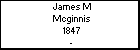 James M Mcginnis