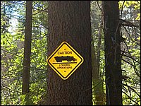 04 Logging Sign.jpg