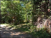 13 Trail To McQuaby Lake.jpg