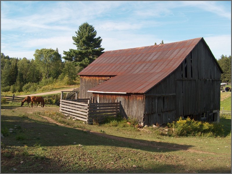August 2006_22.JPG