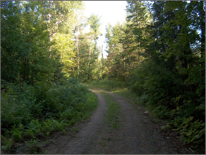 August 2006_73.JPG
