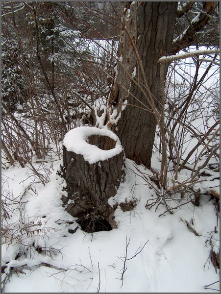 December 2006 16.JPG