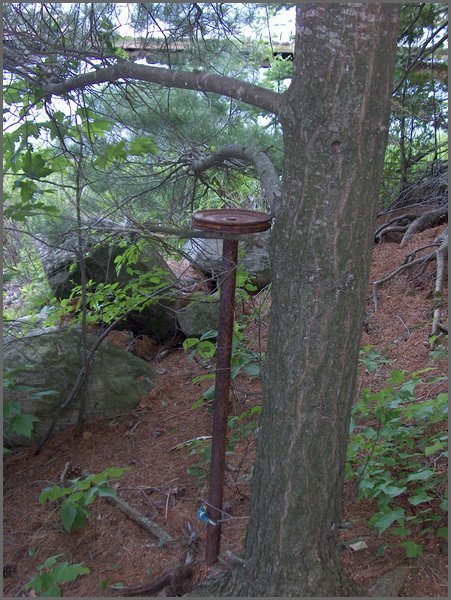 June 2007_35.JPG