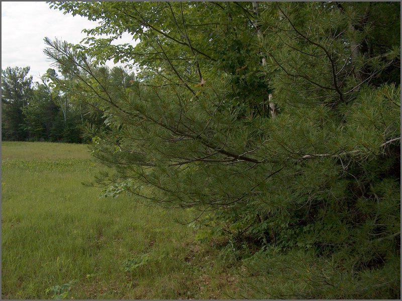 June 2007_47.JPG