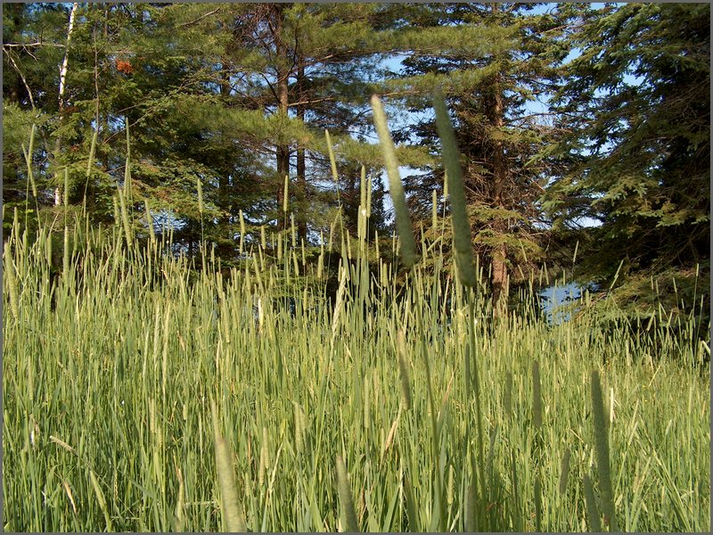 June 2007_50.JPG