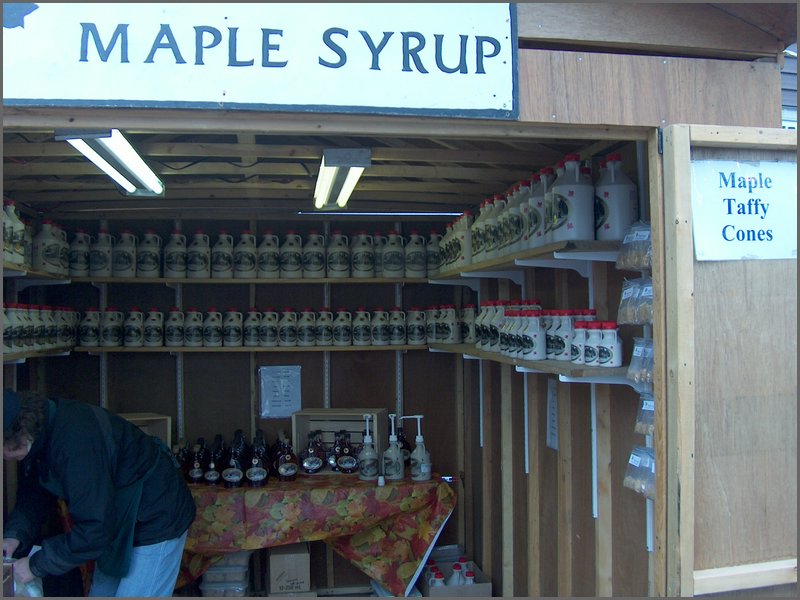 Maple Syrup 2007 21.JPG