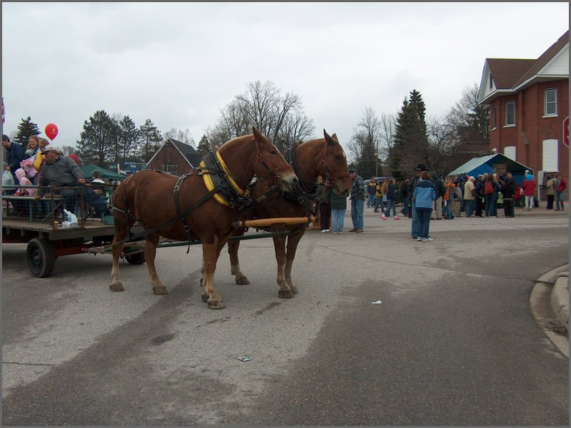 Maple Syrup 2007 51.JPG