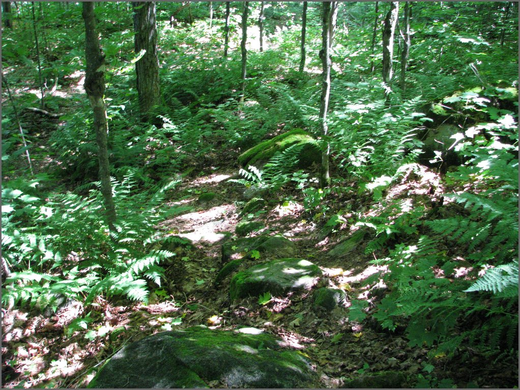 Moose_Mountain_32.jpg