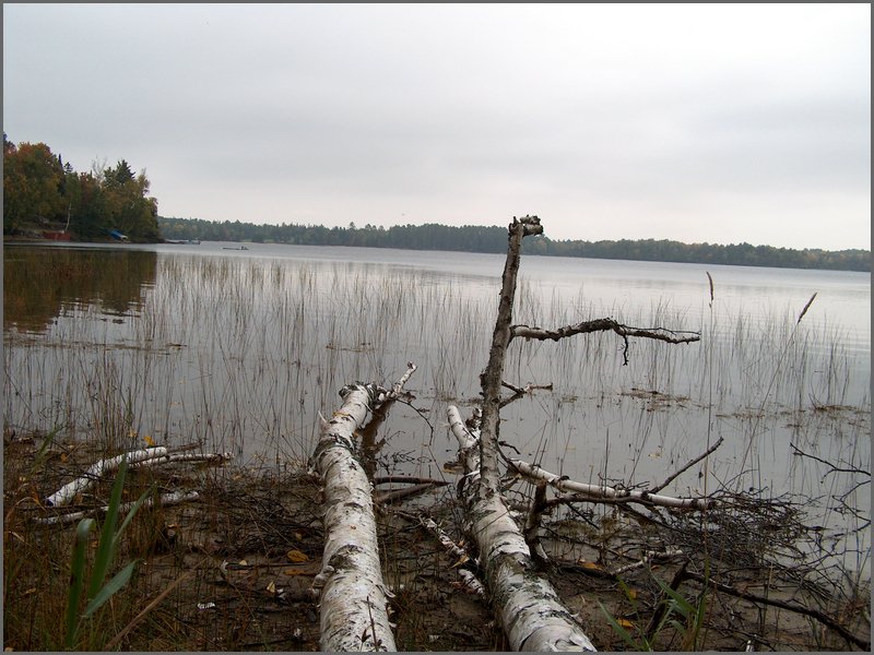 Wolfe Lake 2006o.jpg