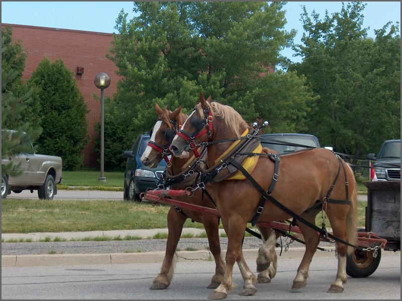 Powassan Parade 38.jpg