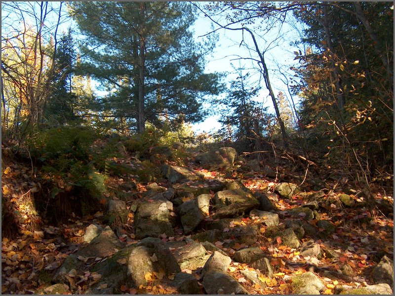 October 2006 - 107.JPG