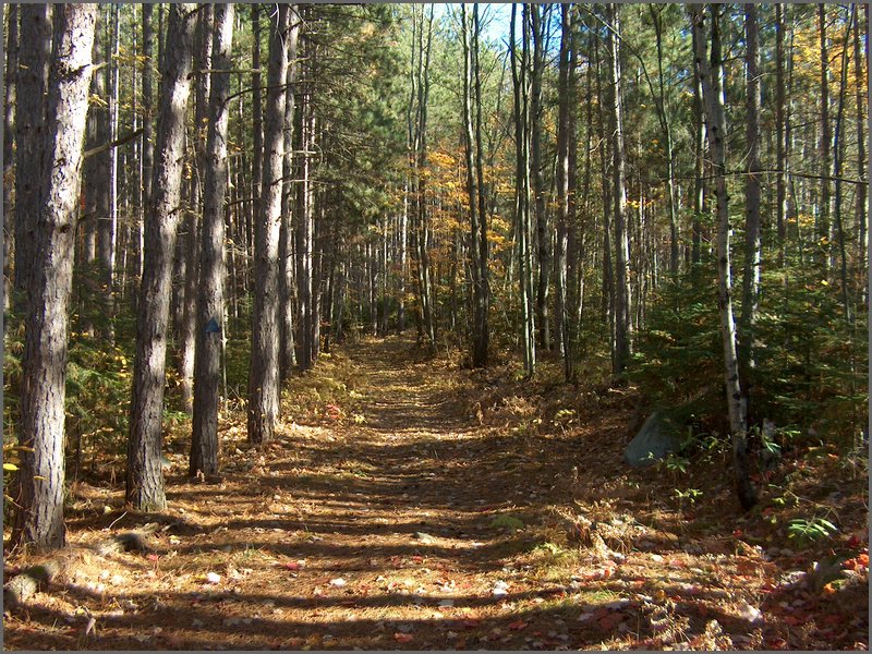 October 2006 - 115.JPG