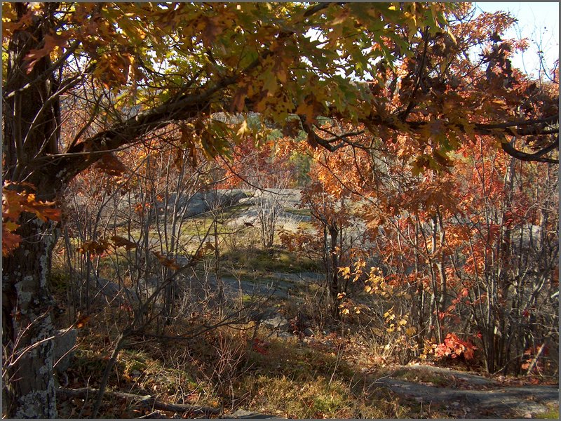 October 2006 - 172.JPG