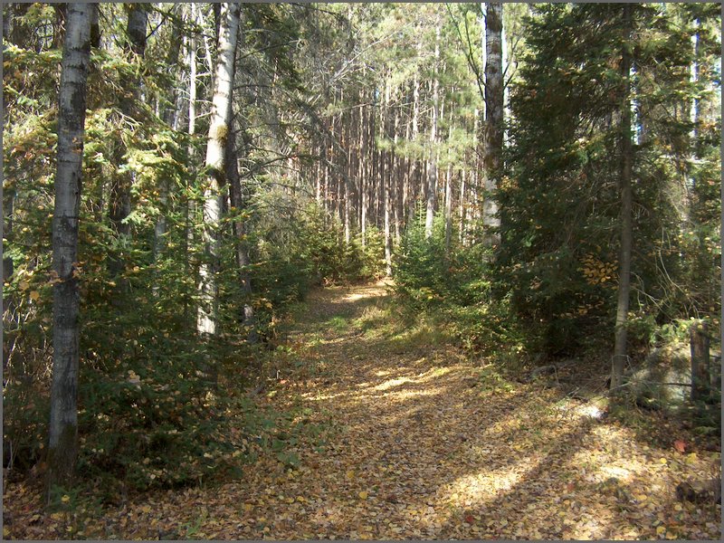 October 2006 - 220.JPG