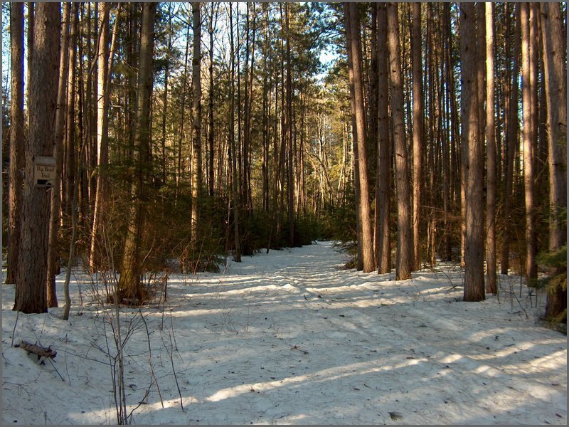 April 2006 03.jpg