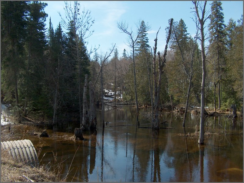 Wolfe Lake April 2006-02.jpg