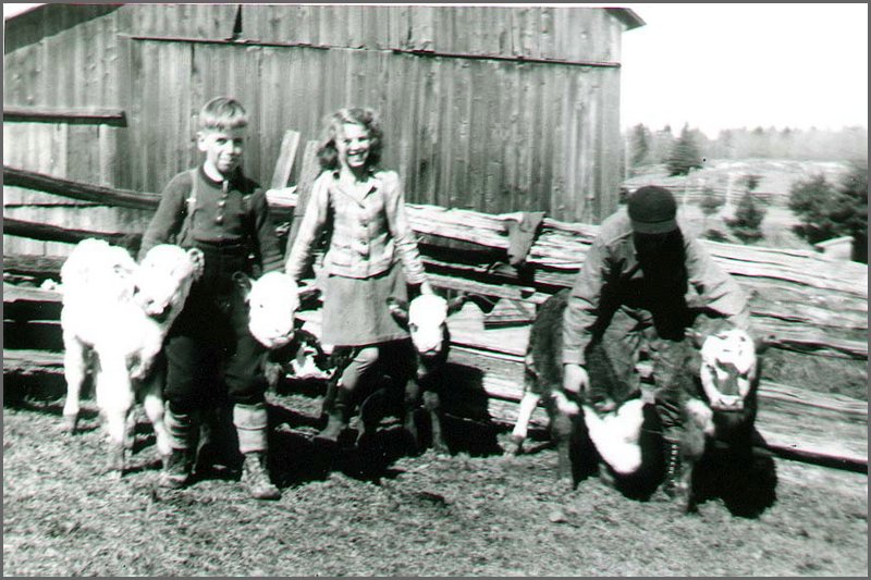 Bunny_Greta_Stanley.jpg