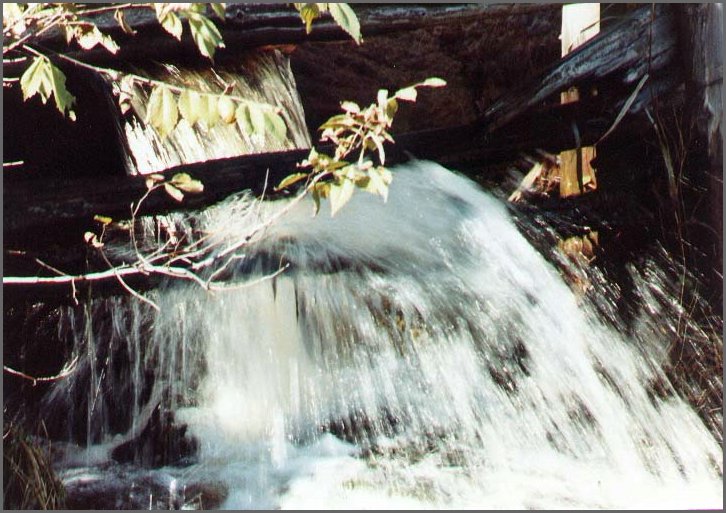 Creek_by_the_barn.jpg