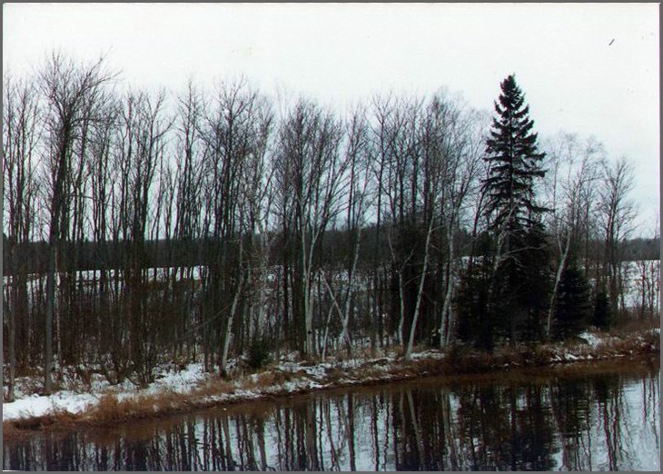 The_Lot_1982.jpg
