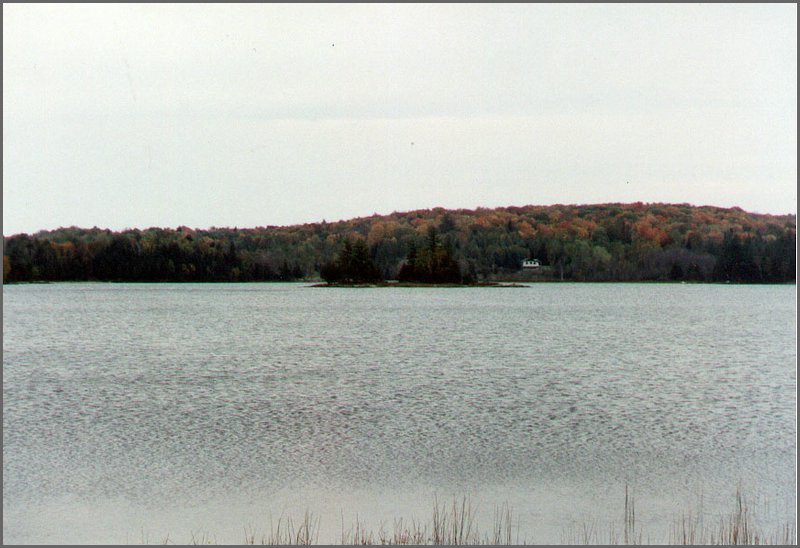 Wolfe Lake - island.jpg