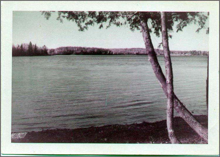 Wolfe_Lake_1955.jpg