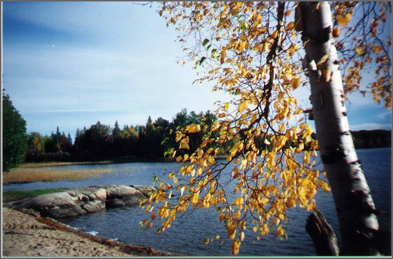 Wolfe_Lale_Public_Beach.jpg