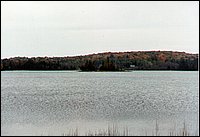 Wolfe Lake - island.jpg