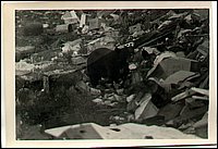 B&W - Bear At Dump.jpg