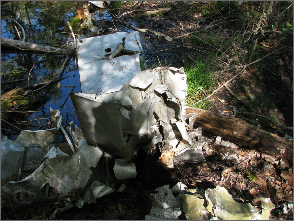 CF100 Crash Site May 2008 17.JPG