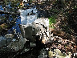 CF100 Crash Site May 2008 17.JPG