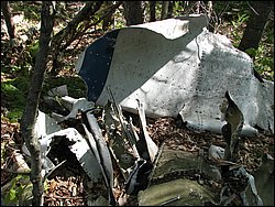 CF100 Crash Site May 2008 18.JPG