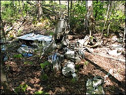 CF100 Crash Site May 2008 41.JPG