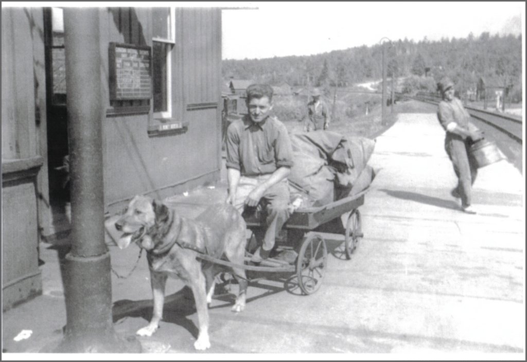 Eddy Hummel picking up the mail with sparkie at station.jpg