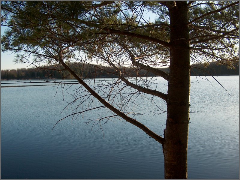 Hpim2913.jpg
