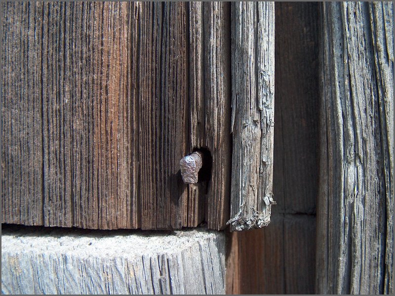 Barn Board Square Nail.jpg