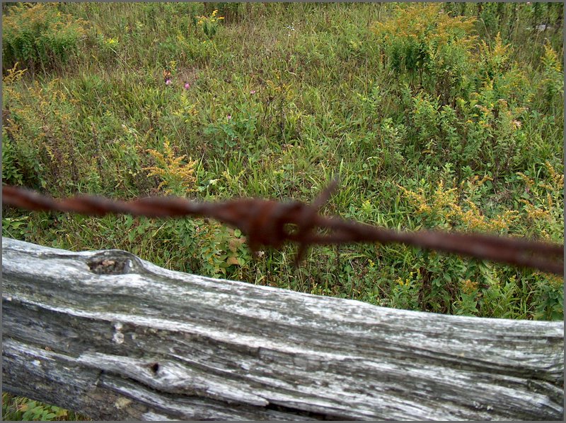 Fence Rail - Barbed Wire.jpg