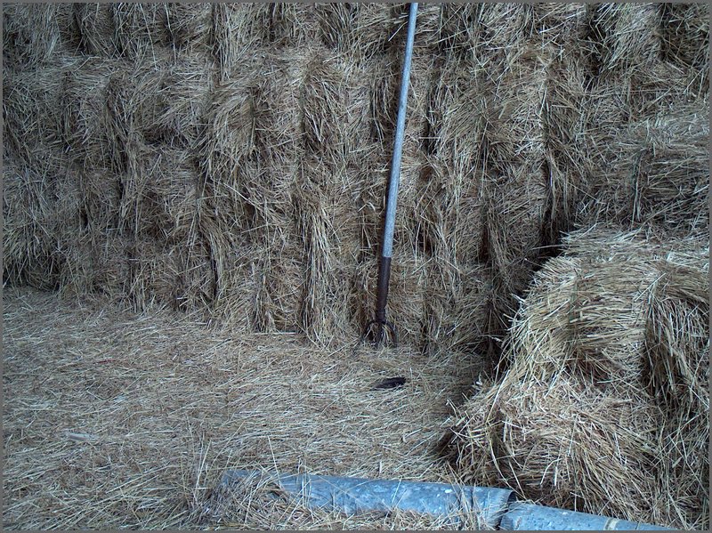 Hay Mow Pitch fork.jpg