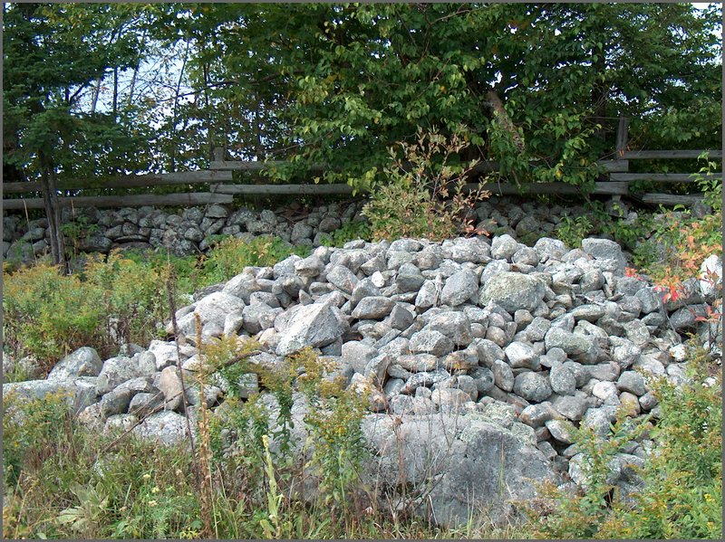 Rock Pile In Pasture.jpg