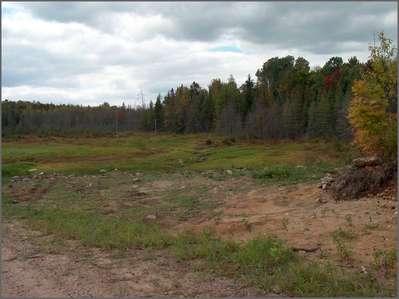 The Pond Drained.jpg