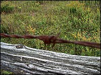 Fence Rail - Barbed Wire.jpg